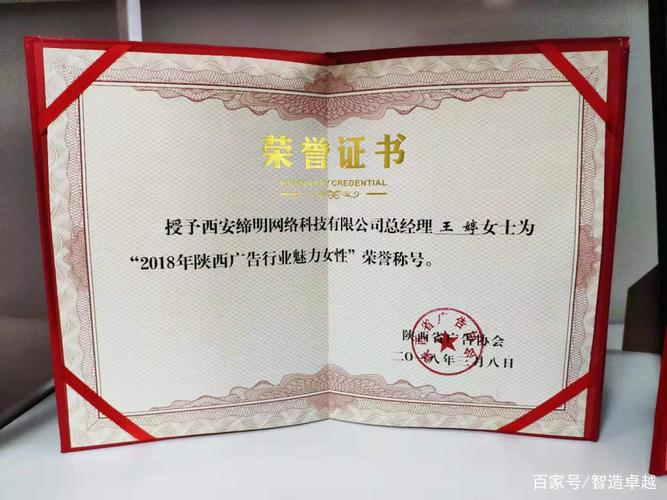 临潼之窗 新生代创业者王婷与西安缔明网络科技的平凡之路